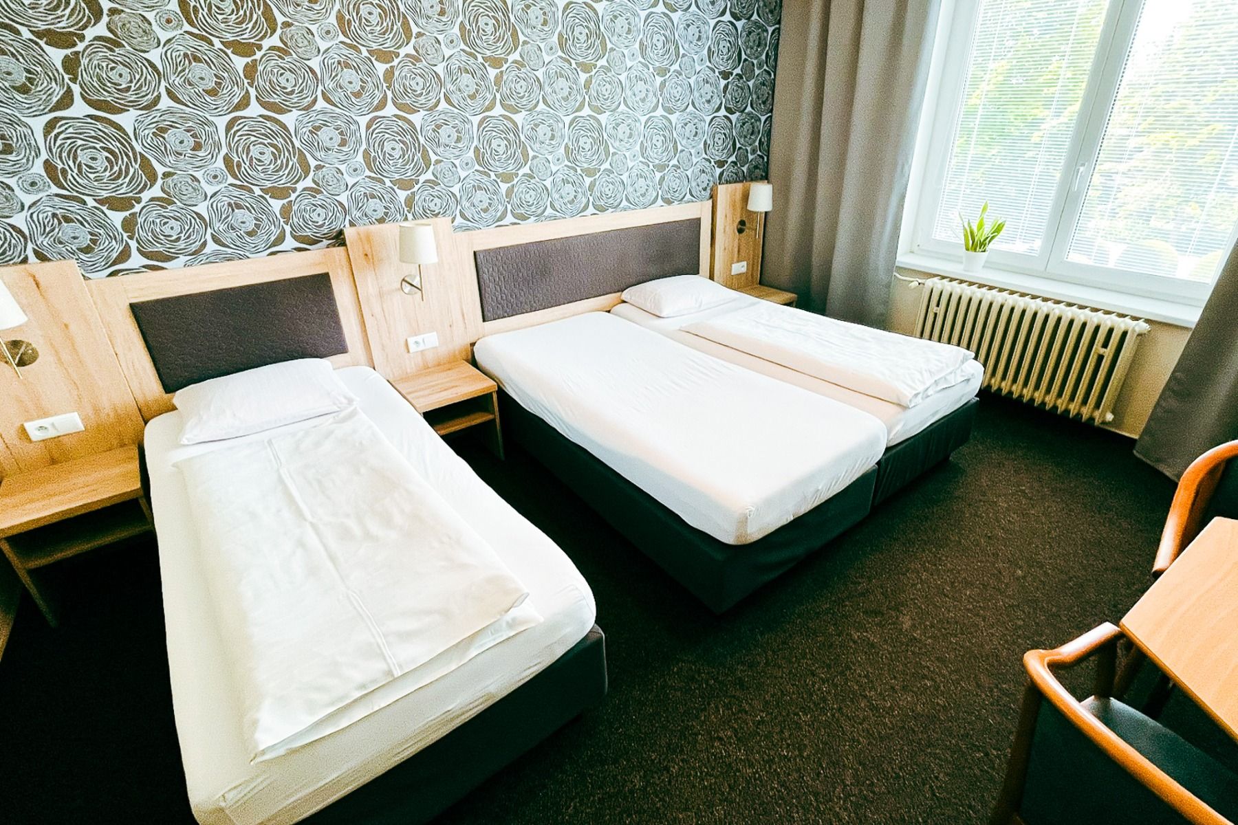Hotel Rozvoj***