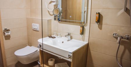 Grand Hotel Rogaška****S