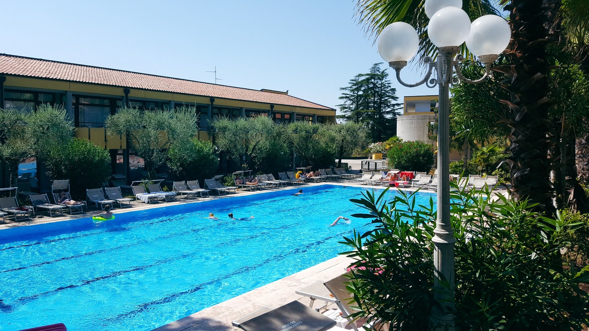 Außenpool des Hotels mit Schwimmern, Sonnenliegen und Olivenbäumen im Hintergrund.