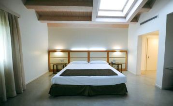 Außenansicht des Hotels Ziba & Spa mit Pool, Liegestühlen, umgeben von Bäumen und Pflanzen.