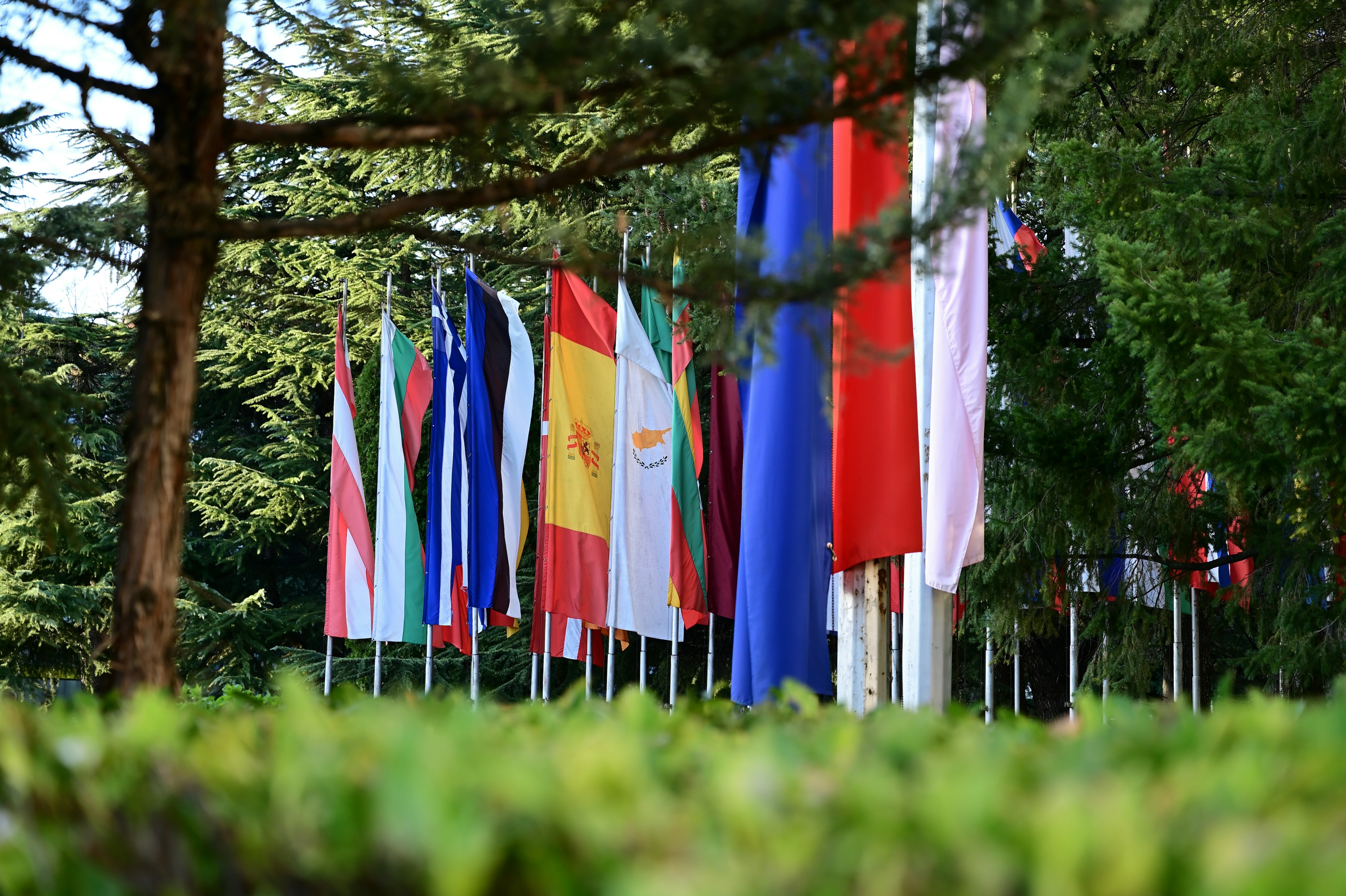 Reihe europäischer Nationalflaggen inmitten grüner Bäume.